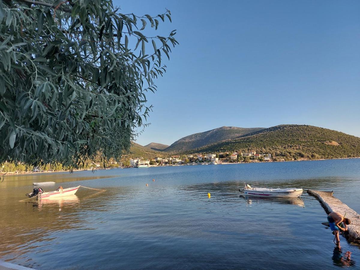 Vitamin Sea Studio Panagia  المظهر الخارجي الصورة