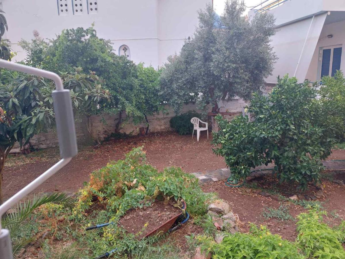Vitamin Sea Studio Panagia  المظهر الخارجي الصورة