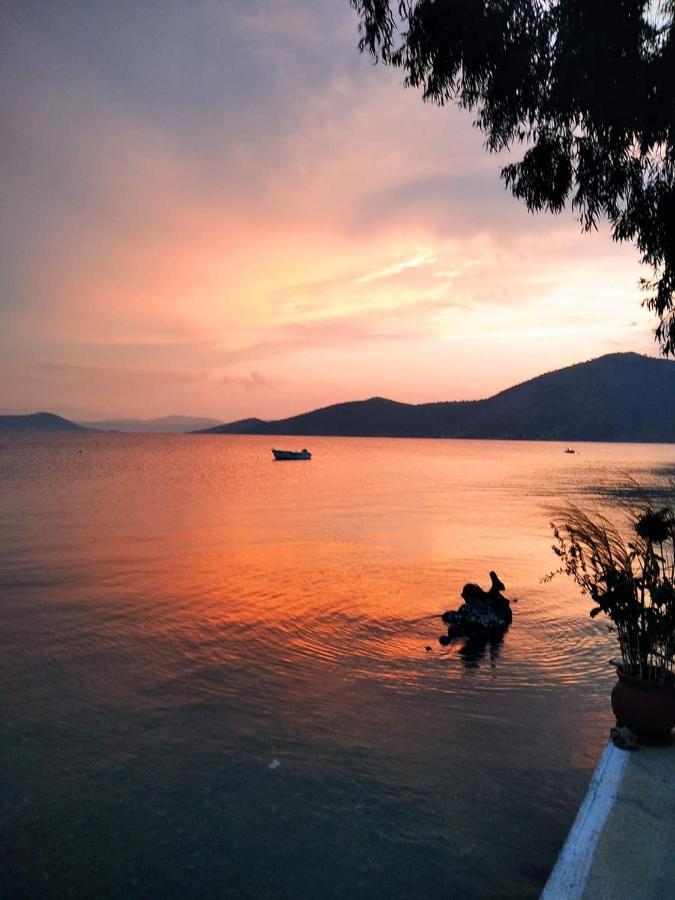 Vitamin Sea Studio Panagia  المظهر الخارجي الصورة